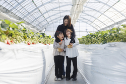 「【関東】2026年3月におすすめ！親子向けおでかけ先＆イベントまとめ」の写真