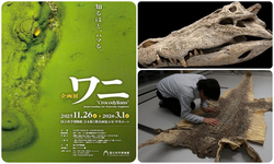 企画展「ワニ」ポスタービジュアル（写真：福田雄介）