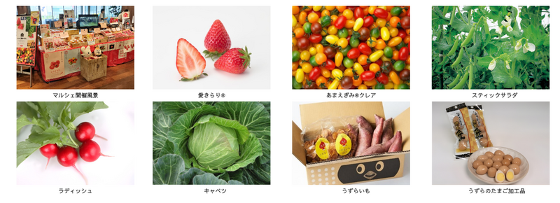 みのりみのるマルシェ「豊橋の実り」