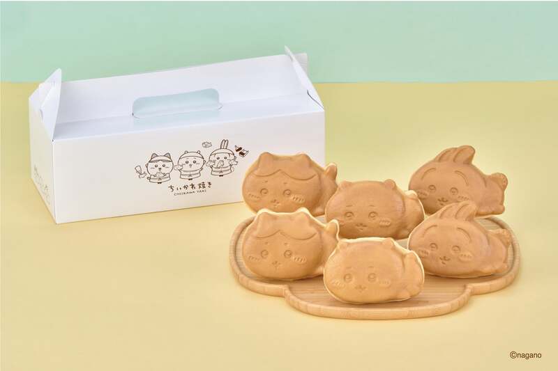 Cセット（6個）