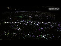 生命は闇に浮かぶまたたく光 - コスモス