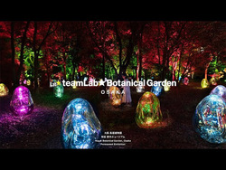 「桜・ネモフィラ・ヒマワリ・コスモスが夜の長居植物園を光で彩り輝く！チームラボ大阪」の写真