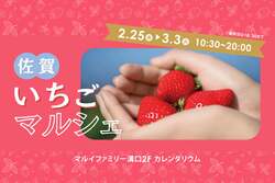 「希少な白いちごも！ブランド苺＆ご当地プリンを食べ比べ　購入特典で佐賀牛ガチャも！」の写真