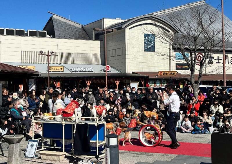 わんわんサーカスの公演