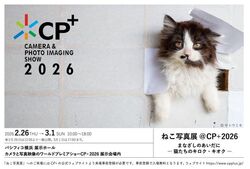 ねこ写真展＠CP+2026│(C)サトウミキ