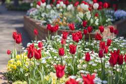 過去の園内の様子