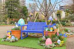 2025年のミニフォトスポット