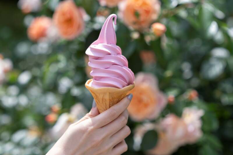 大人気のローズソフト　400円（税込）