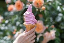 大人気のローズソフト　400円（税込）