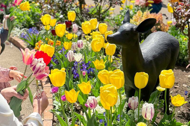 過去の開催の様子
