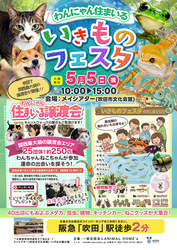 「入場無料！GWに保護犬・猫250匹以上が集まる関西最大級の譲渡会　爬虫類ふれあいも」の写真