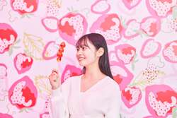 「TBS系番組紹介グルメ32店舗が集結！栃木初上陸のスイーツや名物が宇都宮で味わえる」の写真