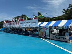 「すべてハート形！プリンセステーマの花火大会が千葉で開催！　幻想的なオーロラ演出も」の写真