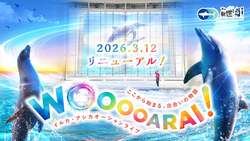 「2mのサメぬいぐるみ登場！大洗水族館が大規模リニューアル　新ライブとショップが話題」の写真