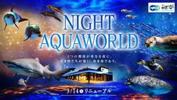 「夜の水族館がさらに進化！「アクアワールド・大洗」のナイトプログラムがリニューアル」の写真