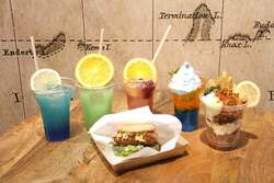 「夜の水族館がさらに進化！「アクアワールド・大洗」のナイトプログラムがリニューアル」の写真