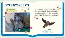 「巨大絵本に迷い込む！「はらぺこあおむし」と海を冒険する没入体験が仙台の水族館で」の写真