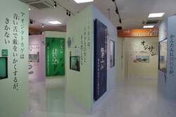 2017年開催「ざんねんないきもの展」