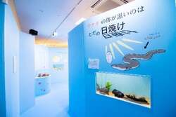 2020年開催「ざんねんないきもの展2」