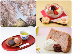 鈴廣かまぼこの里「桜まつり」