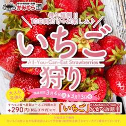 「焼肉食べ放題に＋290円でいちごも食べ放題！「かみむら牧場」で人気企画が10日間開催」の写真