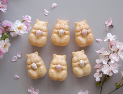 青木光悦堂「ハムスターモナカ春限定」