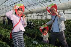 「食べ放題＆特製パフェ作りも！おいも×いちごの春フェス、茨城・行方市で3月開催」の写真