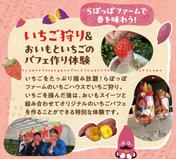 「食べ放題＆特製パフェ作りも！おいも×いちごの春フェス、茨城・行方市で3月開催」の写真
