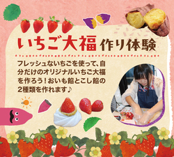 「食べ放題＆特製パフェ作りも！おいも×いちごの春フェス、茨城・行方市で3月開催」の写真