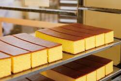 「2026年春、最新ドラえもんイベント＆コラボ商品！無料ドローンショー＆海底ホテルも」の写真