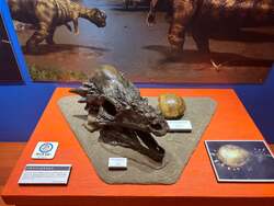 「動く恐竜や本物の化石に大興奮！夜の迷路も楽しめる遊園地イベント＠よみうりランド」の写真