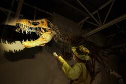 ナイトラボver. (イメージ)