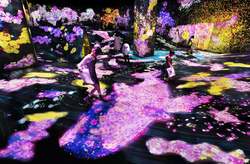 「スマホが網になる！チームラボ福岡で恐竜捕獲＆自分だけの図鑑作り　春は桜の絶景も」の写真