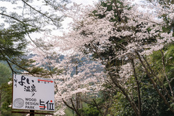 「GWも最大15%OFF！　兵庫・宍粟市の温泉併設グランピング施設で3周年特別SALE開催」の写真