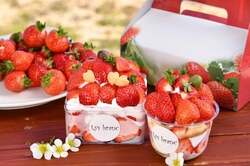 「摘みたて"あまおう"でケーキ作り！福岡・大木町で春休み限定のパティシエ体験イベント」の写真