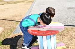 「摘みたて"あまおう"でケーキ作り！福岡・大木町で春休み限定のパティシエ体験イベント」の写真