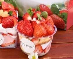 シングルプラン