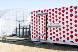 「摘みたて"あまおう"でケーキ作り！福岡・大木町で春休み限定のパティシエ体験イベント」の写真