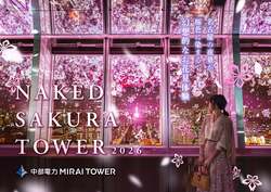 「光の桜が舞い落ちる！名古屋テレビ塔で「NAKED」の最新プロジェクションマッピング」の写真
