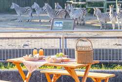 「閉園後の動物園をカートで探検！東武動物公園の隣に埼玉県最大級のグランピングOPEN」の写真