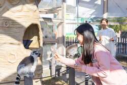 「閉園後の動物園をカートで探検！東武動物公園の隣に埼玉県最大級のグランピングOPEN」の写真