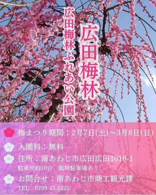 広田梅林・広田梅林ふれあい公園 梅まつり