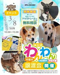 第22回 わんわん譲渡会