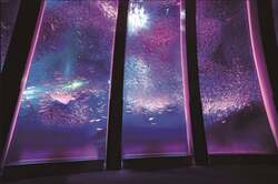 「700本の桜と海の仲間が彩る幻想的なお花見体験　横浜・八景島シーパラダイスで開催！」の写真