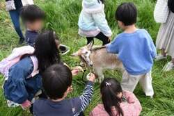ふれあい動物園