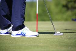 パターグリーン