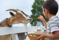 「3/6から！「こもれび 森のイバライド」が子供入園料半額のお得な割引チケット販売開始」の写真