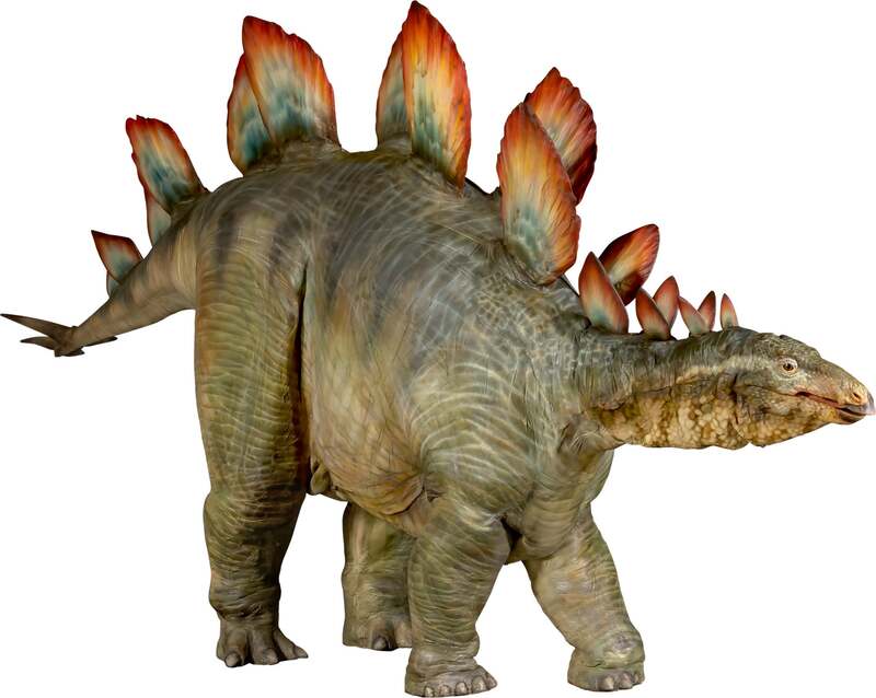 ステゴサウルス（全長7ｍ）