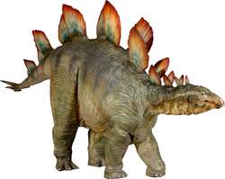 ステゴサウルス（全長7ｍ）