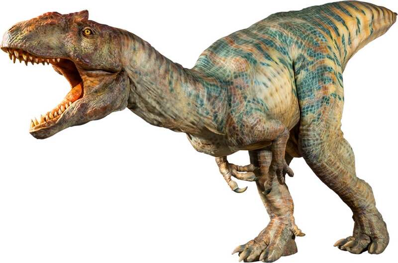 アロサウルス（全長6.4ｍ）